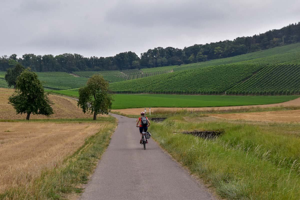 Badischer Weinradweg E Bike Tour Durch Den Kraichgau In Baden