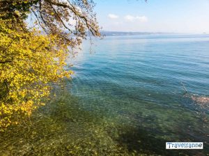 Insel Mainau Im Bodensee: Entdecke Eines Der Schönsten Ausflugsziele ...