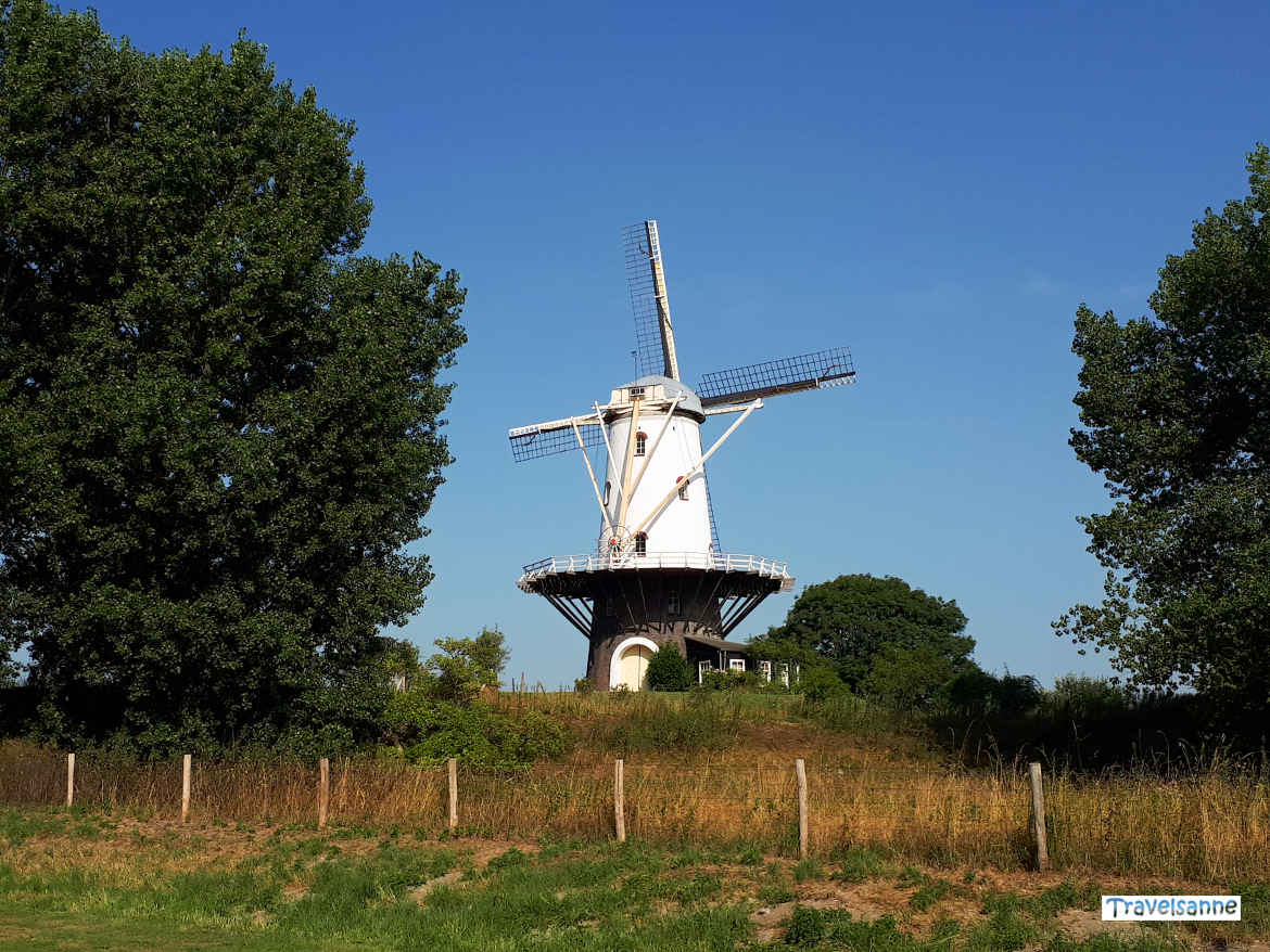 Holland-Liebe: Die für Holland typischen nostalgischen Windmühlen