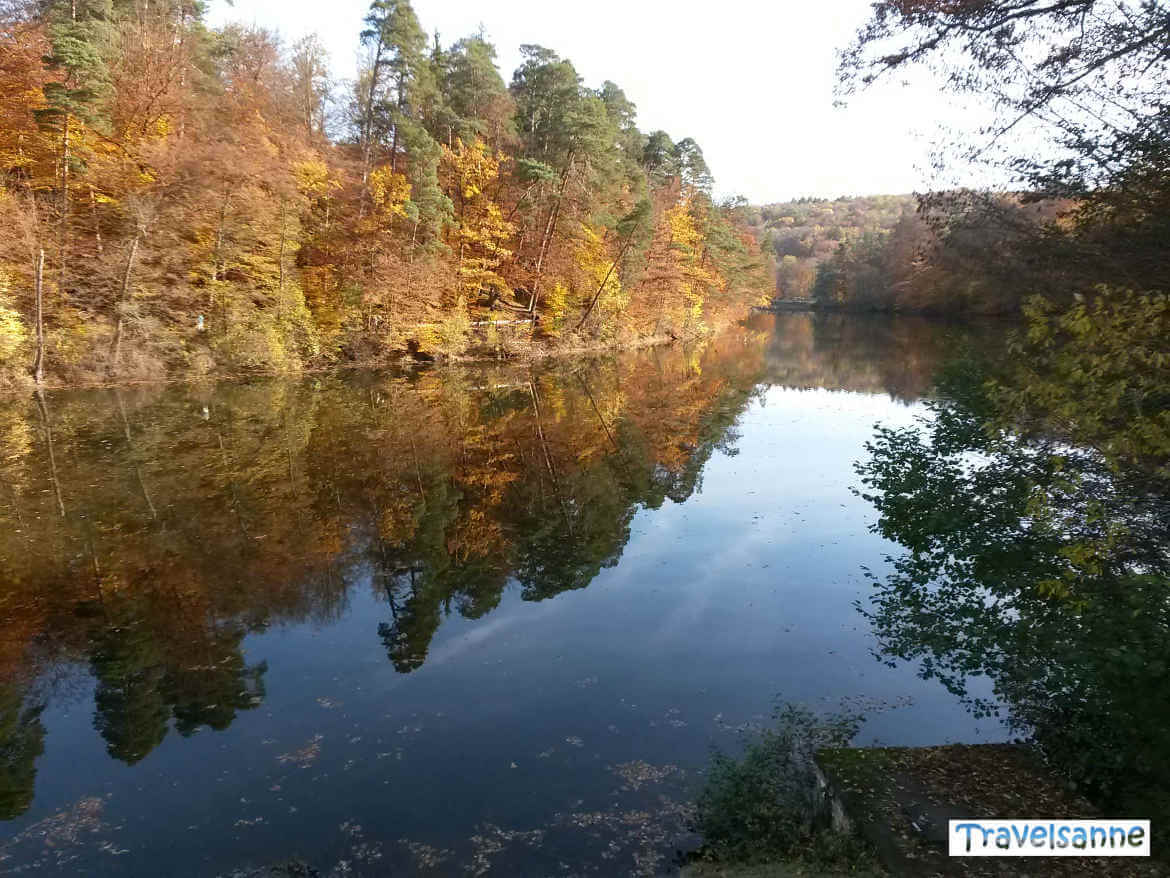 Wunderschöne Spiegelung: Herbst am Bärensee bei Stuttgart