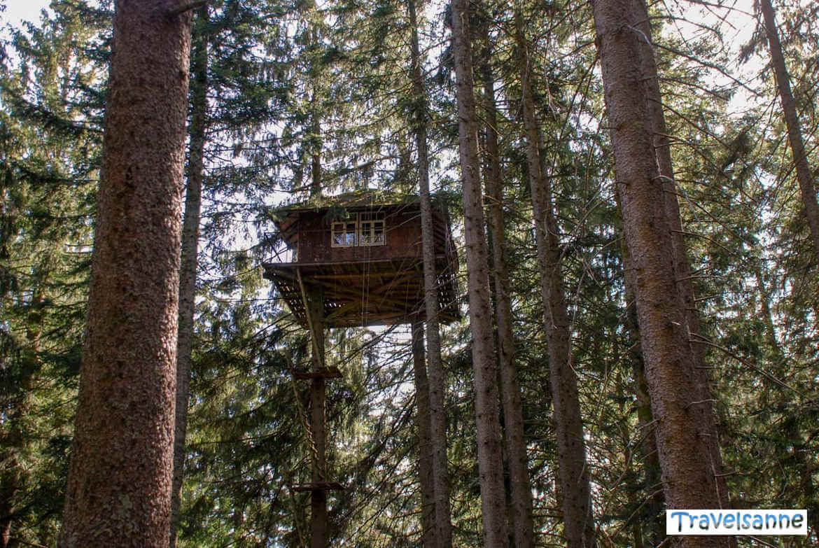 Das magische Baumhaus hoch oben in den Wipfeln des Schwarzwalds
