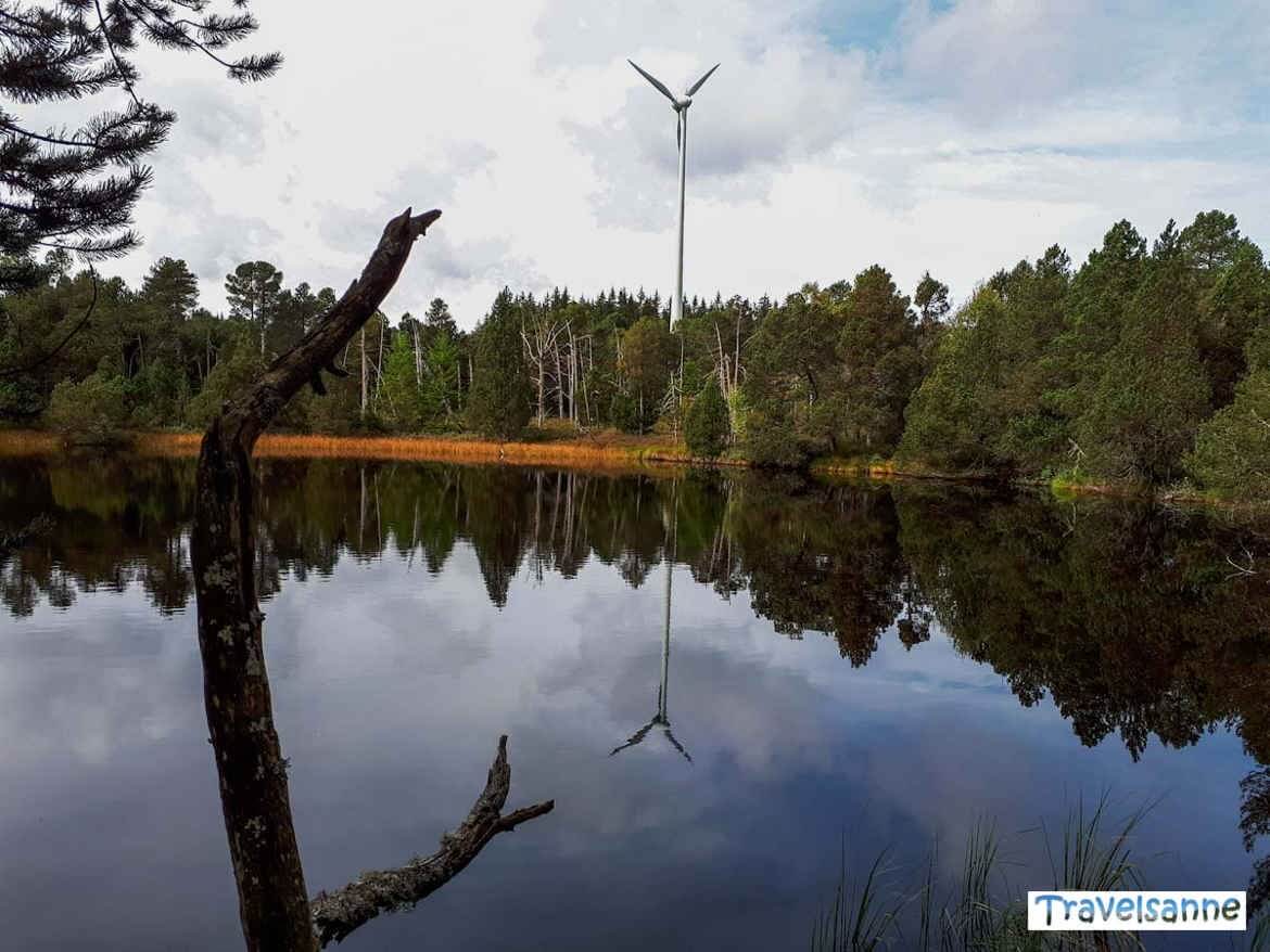 Ein Windrad spiegelt sich im sagenumwobenen Blindensee
