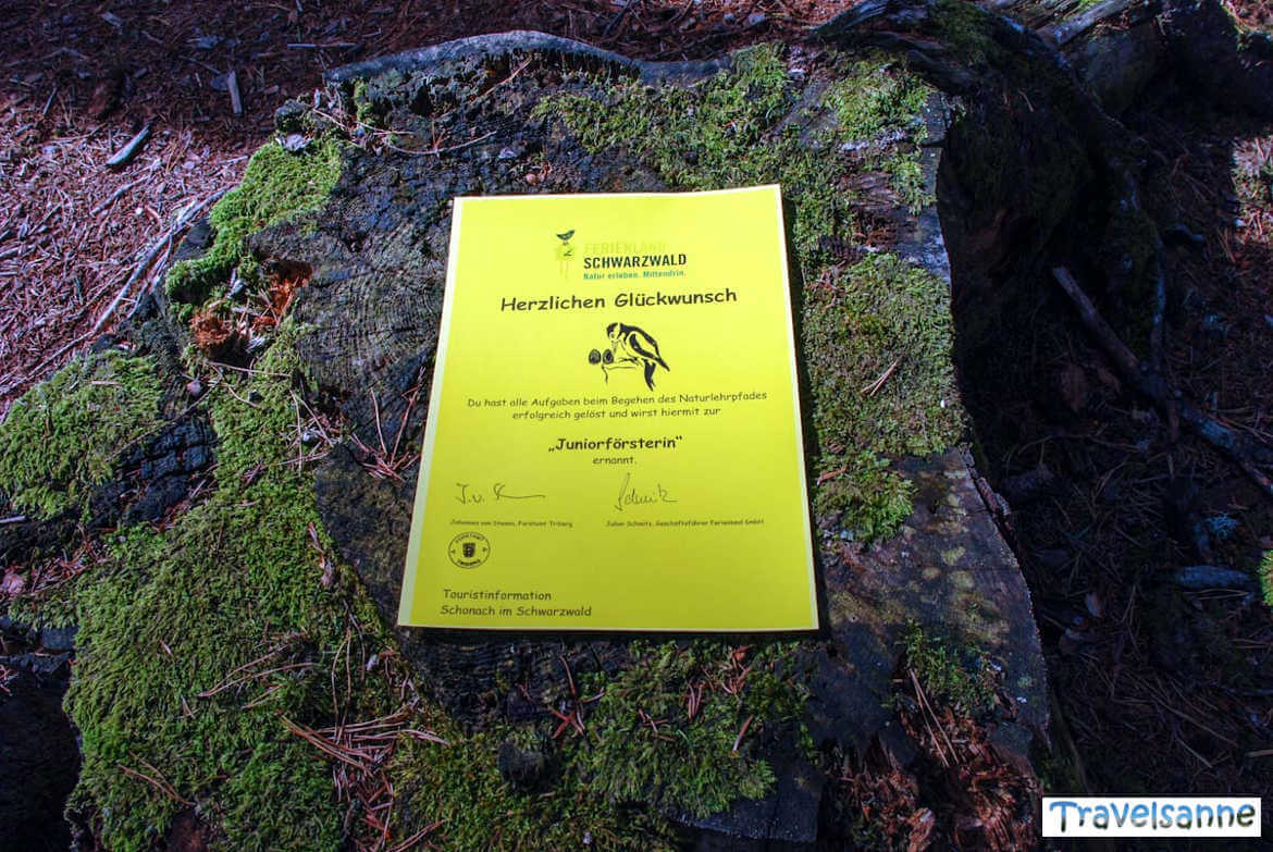 Das Juniorförster-Zertifikat des Naturerlebnispfads Schonach