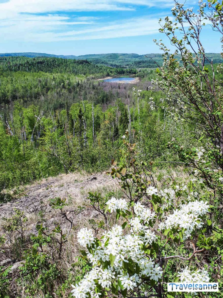 Frühling an den Bean and Bear Lakes in Minnesota, USA