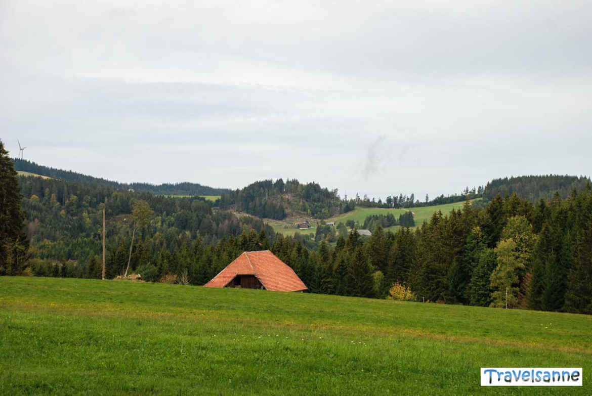 Schwarzwaldidylle bei der Genuss- und Erlebniswanderung rund um Schonach