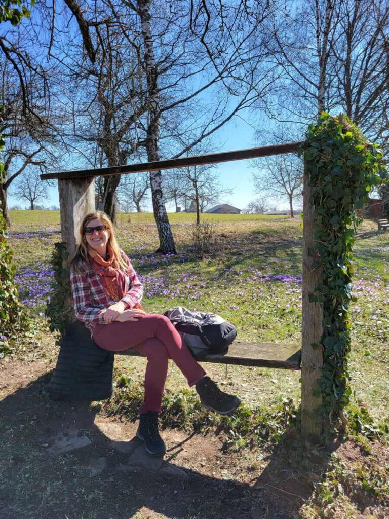 Besuchermagnet; Die Zavelsteiner Krokusblüte