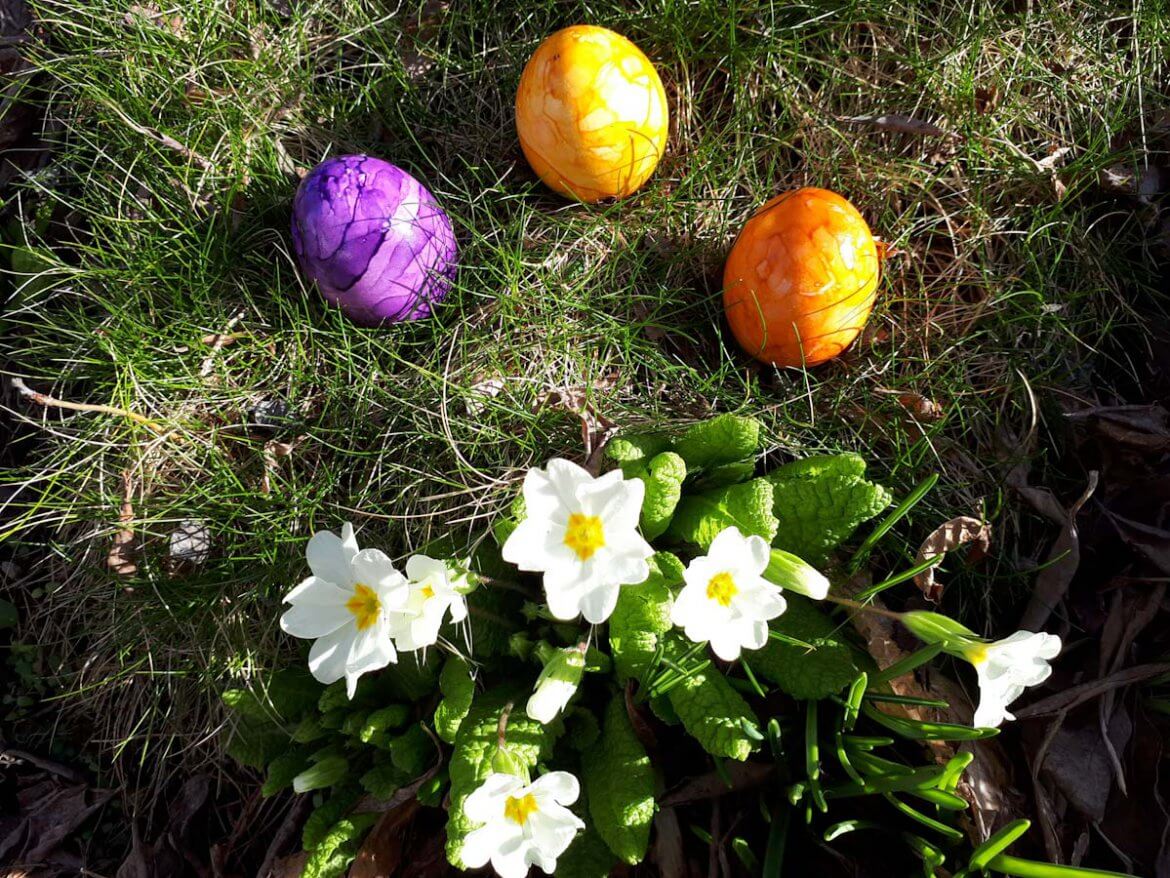 Besuch im Osterei-Museum Sonnenbühl