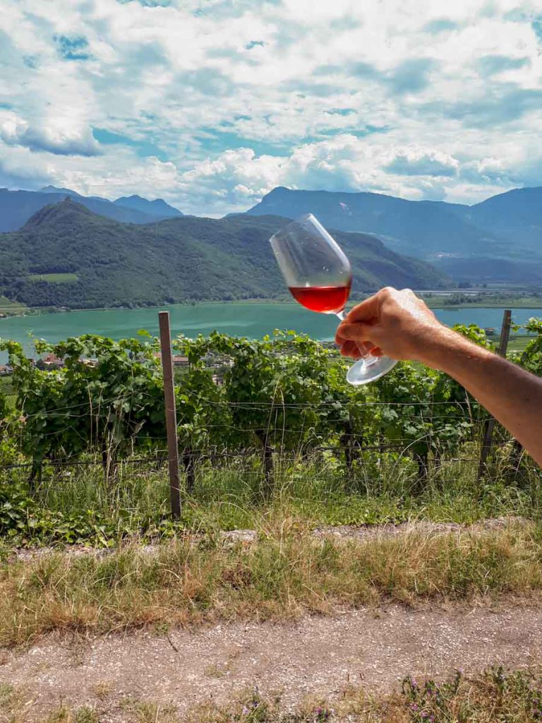 Verkostung der Südtiroler Weine inmitten der Rebhänge mit Seeblick