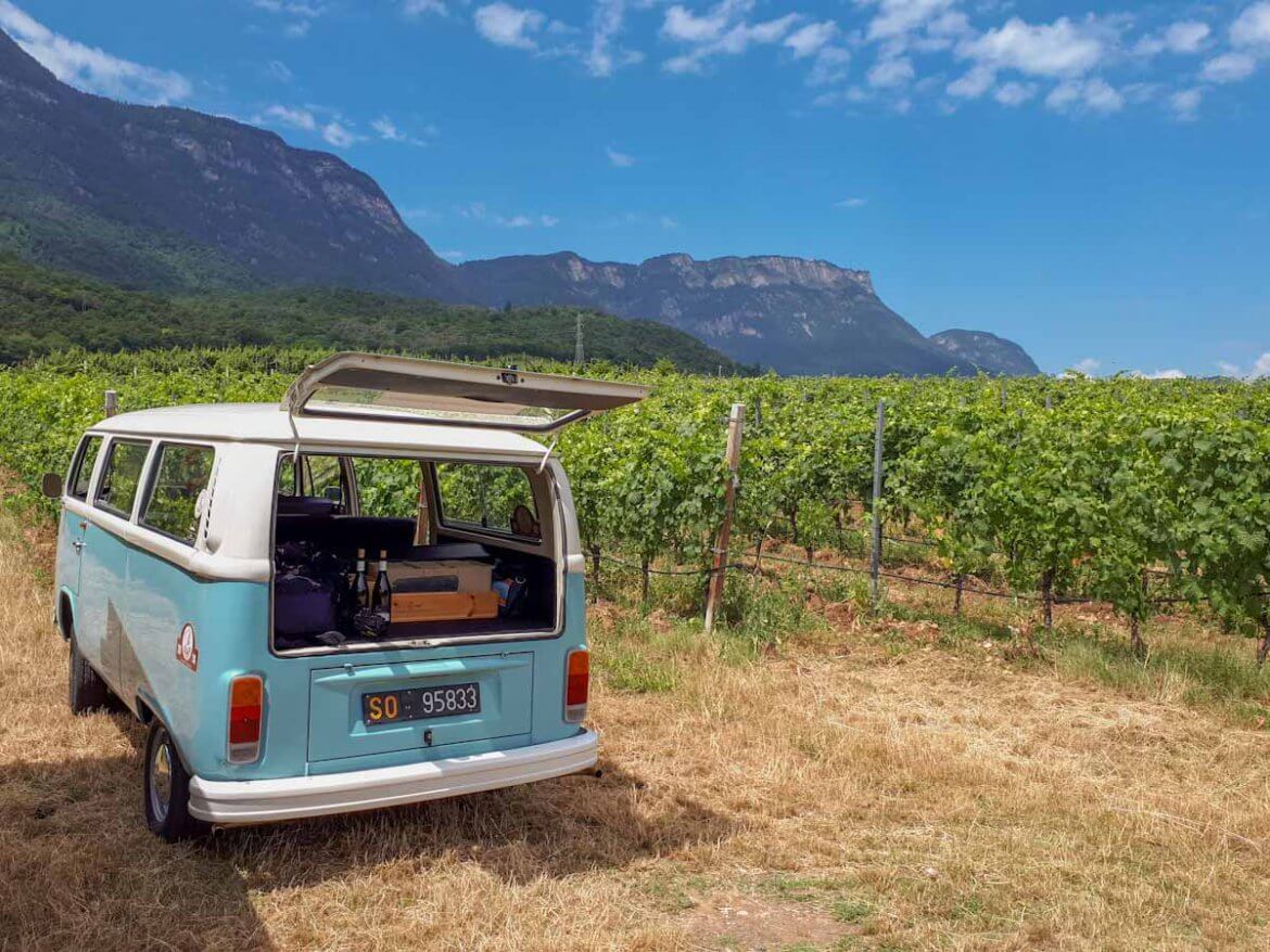 Mit dem VW Bulli T2 in den Weinbergen hoch über dem Kalterer See
