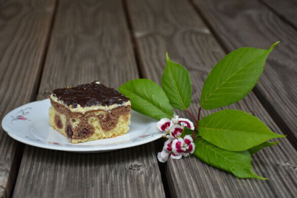 Klassisches Donauwelle Rezept mit leckerer Puddingcreme - Familien ...