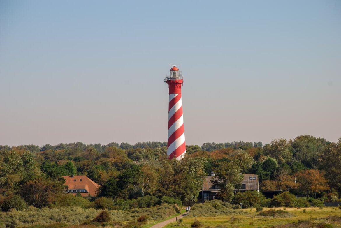 Naturerlebnis niederländische Küste Naturerlebnis niederländische Küste