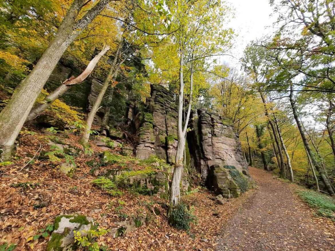 Nordschwarzwald Wanderung rund um die Battertfelsen bei Baden-Baden