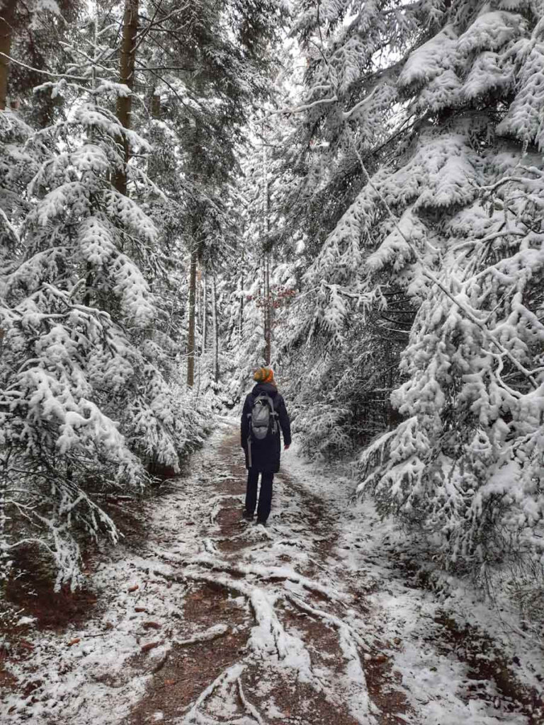 Winterspaziergang im Schwarzwald