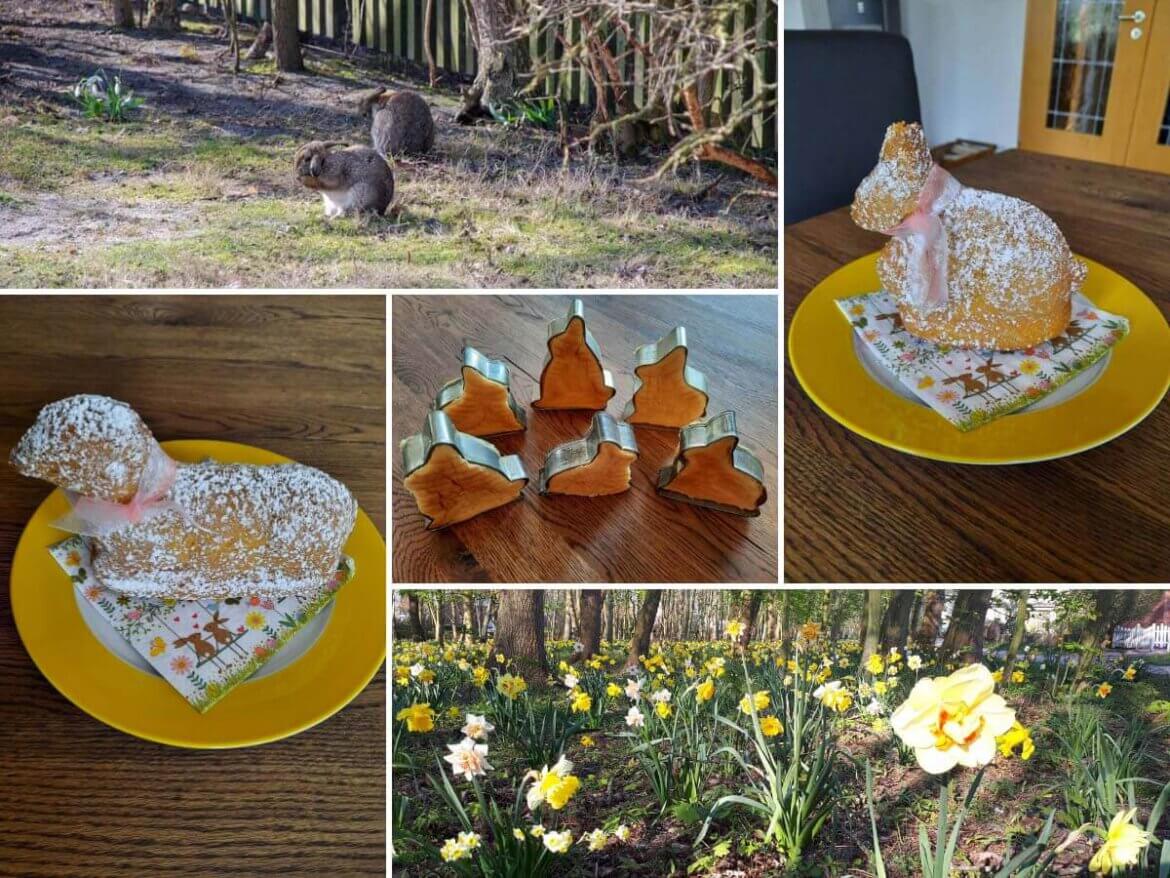 Backen für Ostern: Osterlamm und Osterhasen backen aus Rührteig oder Biskuitteig