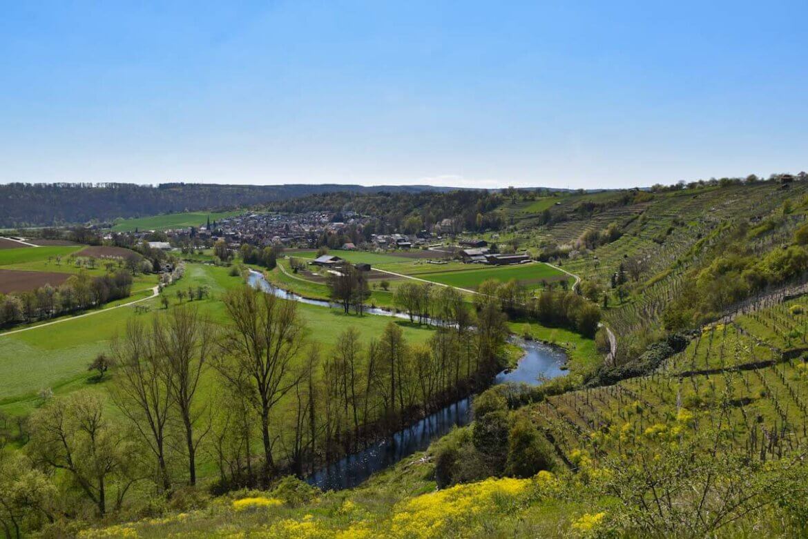 Weinwandern in Baden-Württemberg entlang der Enzschleife Mühlhausen nahe Stuttgart
