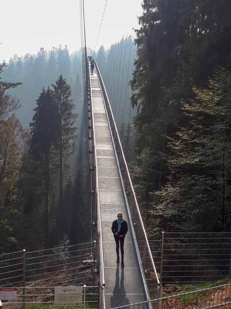 Die spektakuläre Hängebrücke Wildline in Bad Wildbad