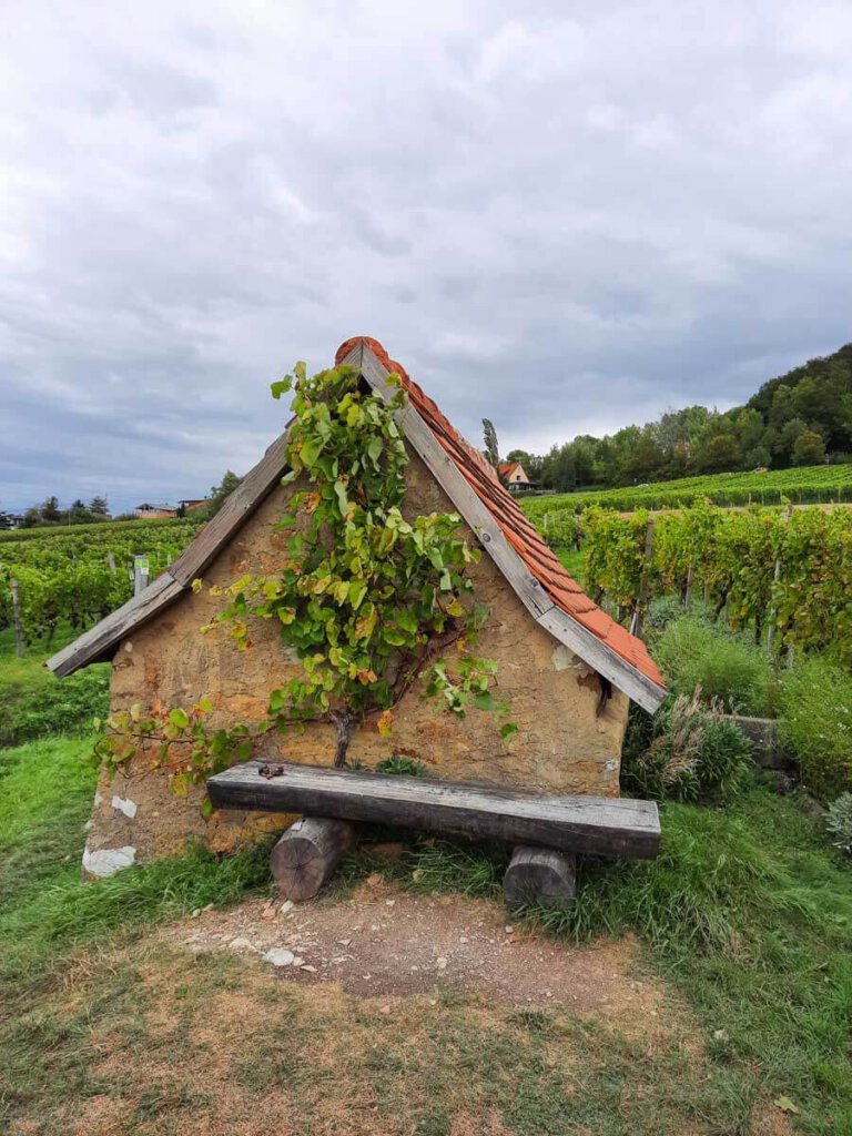 Wie ein Hexenhäusle: Kleine Schutzhütte im Weinberg bei Beuren