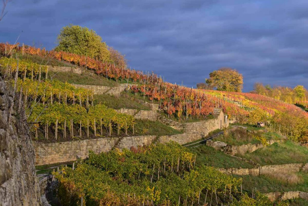Traumhafte Weinwanderung in den Felsengärten Mühlhausen