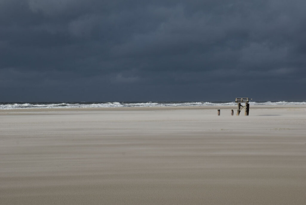 Wie ein Gemälde: Strandgut auf dem endlosen Kniepsand der Nordseeinsel Amrum