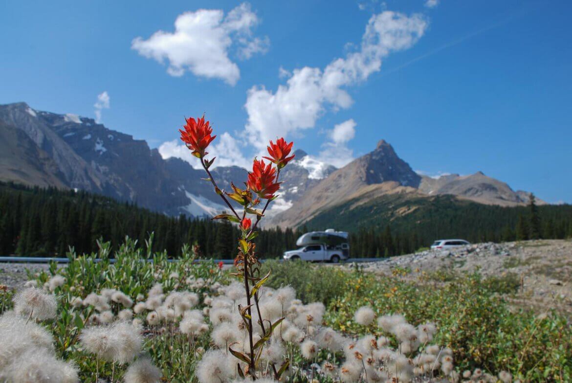 Die beliebtesten Sehenswürdigkeiten und echte Geheimtipps in 5 der schönsten Nationalparks Westkanadas
