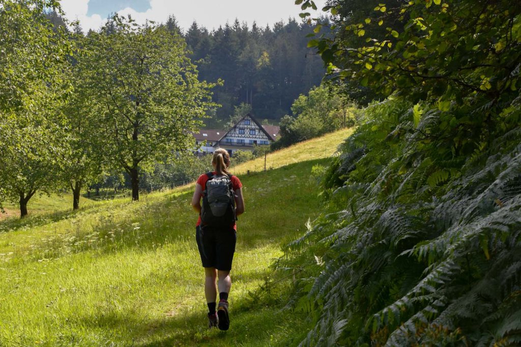 Die besten Outdoor-Aktivitäten im Schwarzwald