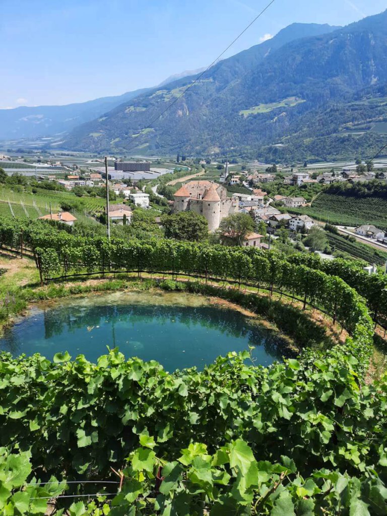 Blick über die Weinreben auf Schloss Kastelbell in Südtirol