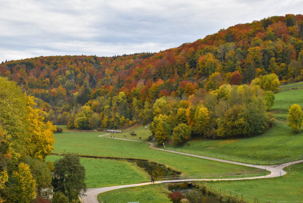 Herbstliches Farbenspektakel auf der Schwäbischen Alb
