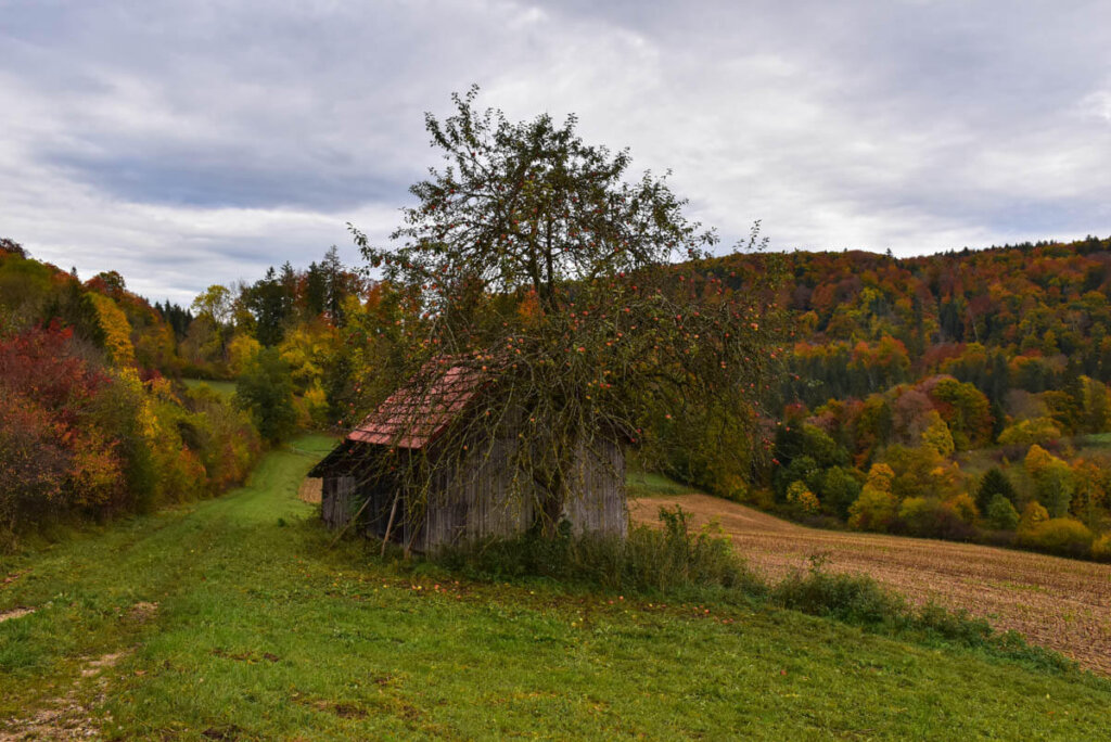 Herbstidylle auf der Schwäbischen Alb