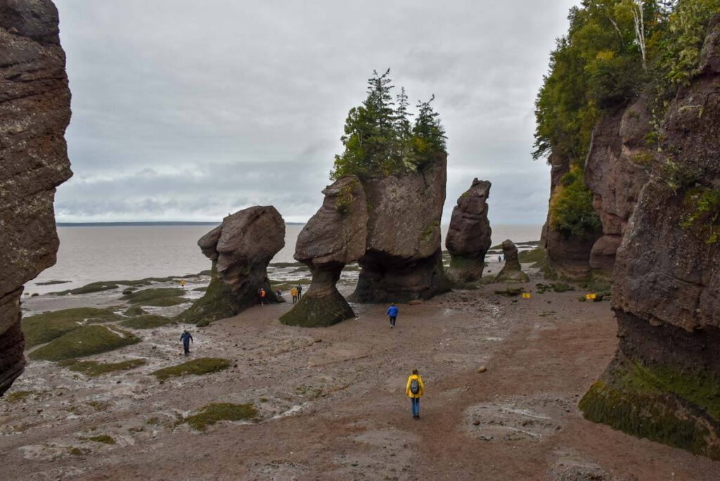 Naturwunder Hopewell Rocks in New Brunswick, Kanada