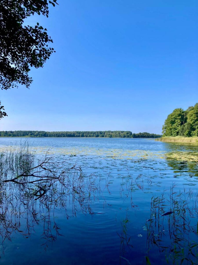 Seenlandschaft im Müritz-Nationalpark