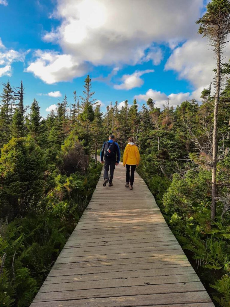 Der Skyline Trail in Nova Scotia führt oft über Holzstege