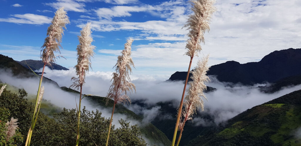 Mystische Stimmung in den Bergen Ecuadors