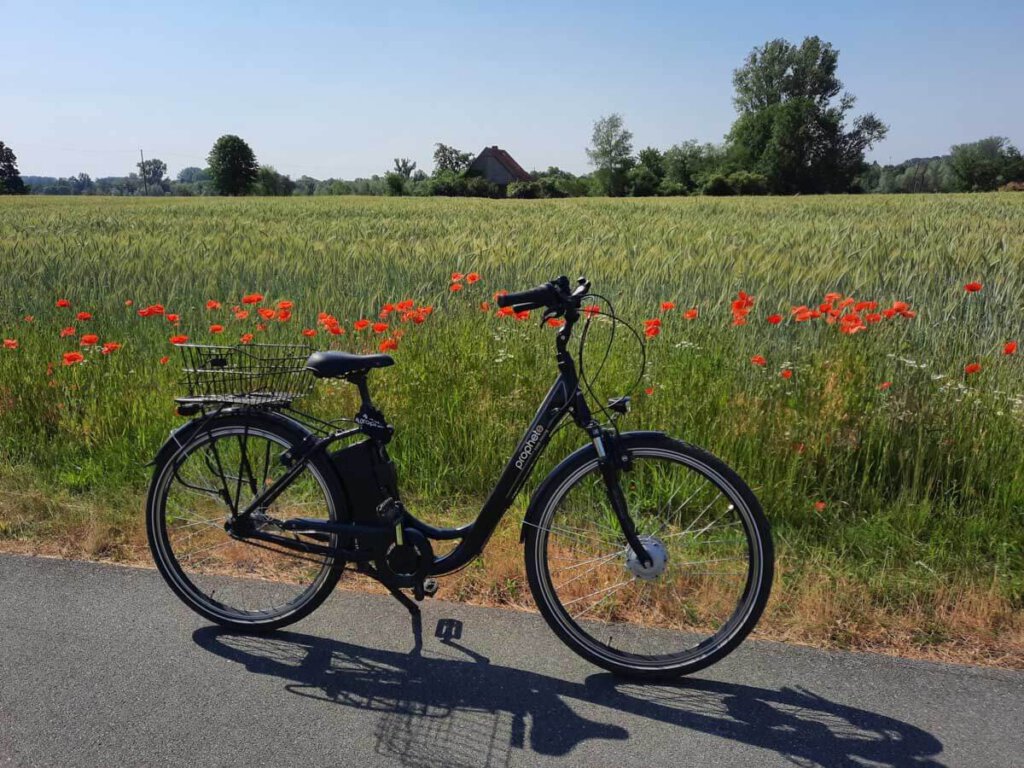 Radfahren im flachen Münsterland ist Entspannung pur
