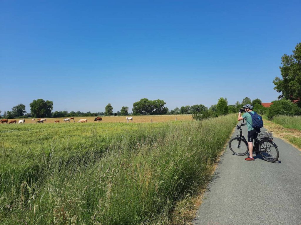Radfahren im Münsterland ist Landliebe pur