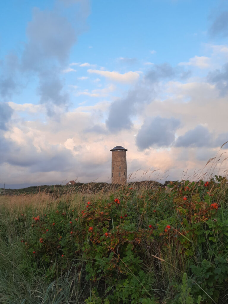 Domburgs Watertoren: Der historische Wasserturm