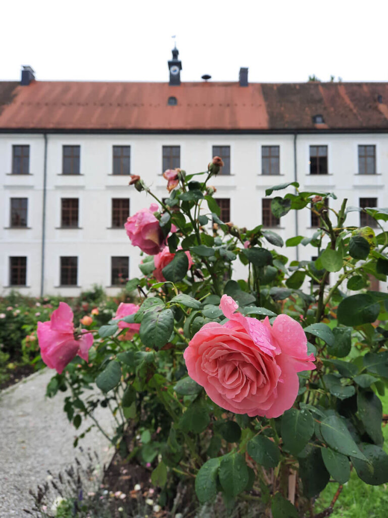 Im Rosengarten des Alten Schlosses auf Herrenchiemsee