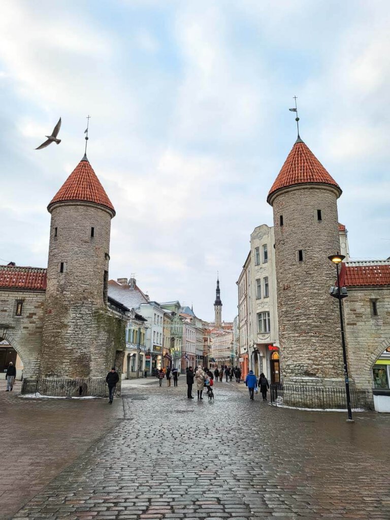 Tallinns berühmte mittelalterliche Lehmpforte