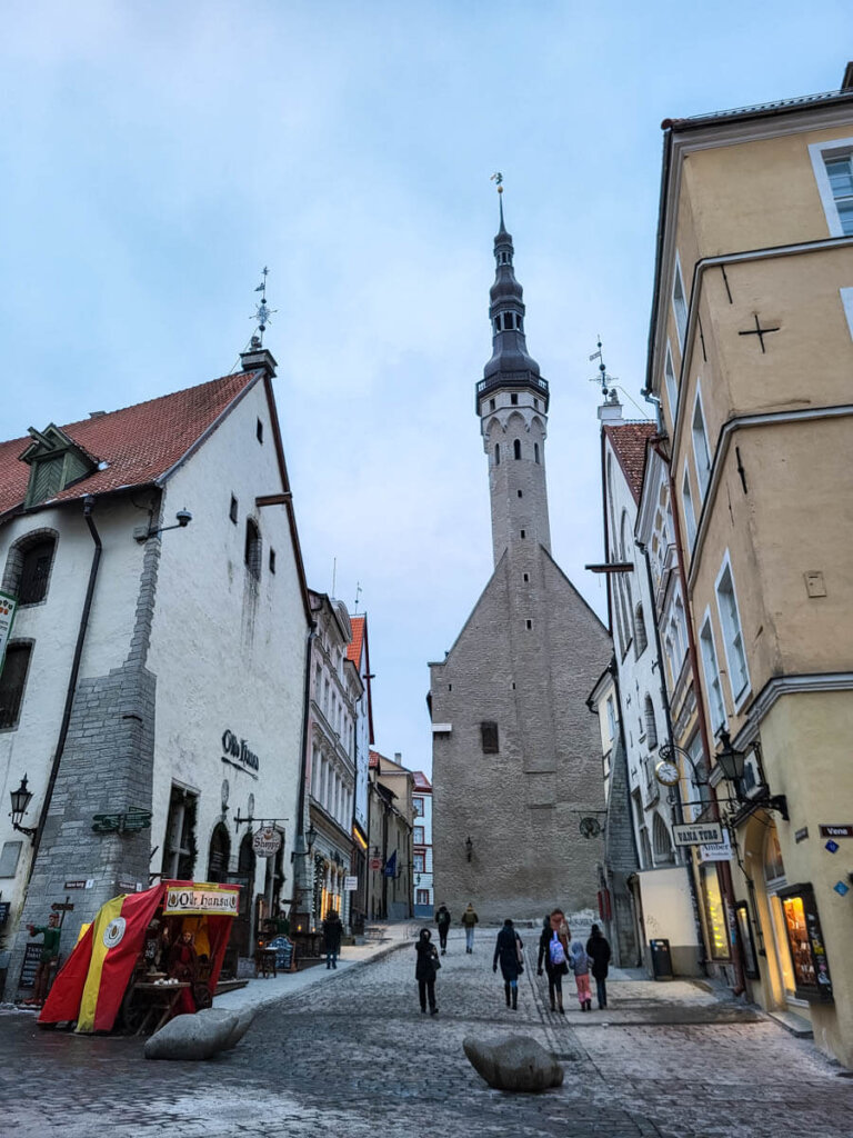 Das gotische Rathaus Tallinns