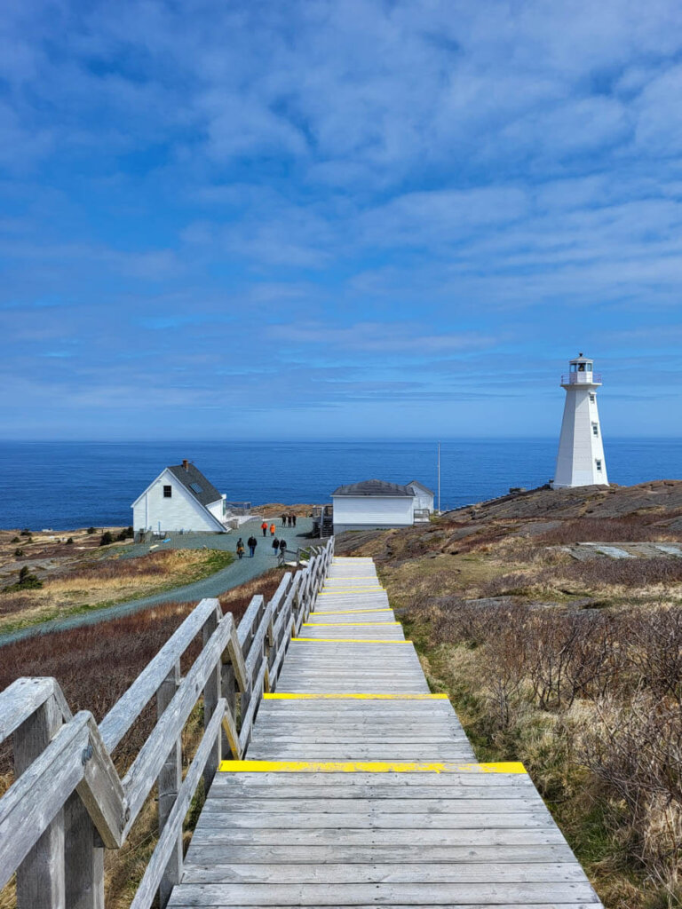 Cape Spear Lighthouse, einer der besten Spots, um Eisberge und Wale zu sehen