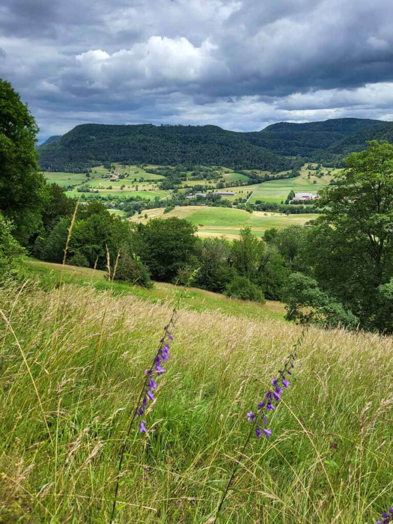 Sommerlicher Ausblick auf die Schwäbische Alb bei Talheim