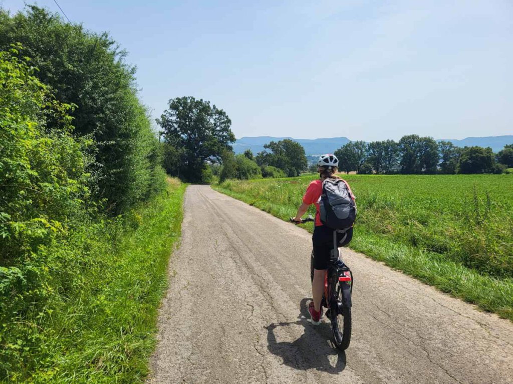 Radeln durch Streuobstwiesen und Felder auf der Großen Streuobst-Tour am Früchtetrauf