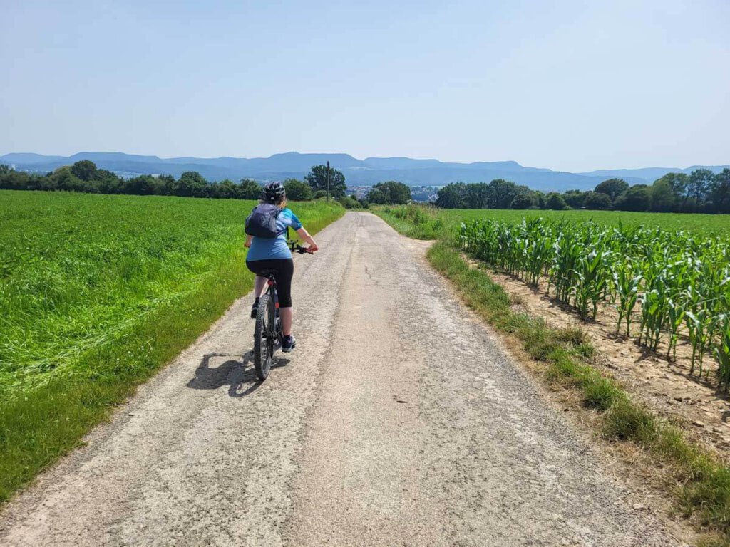 Den Albtrauf im Blick auf der Streuobst-Radtour im Landkreis Tübingen