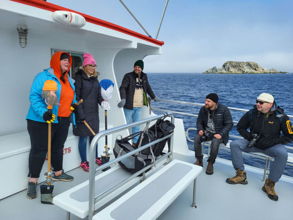 Lustige Bootstour mit den Iceberg Quest Ocean Tours vor Twillingate Neufundland