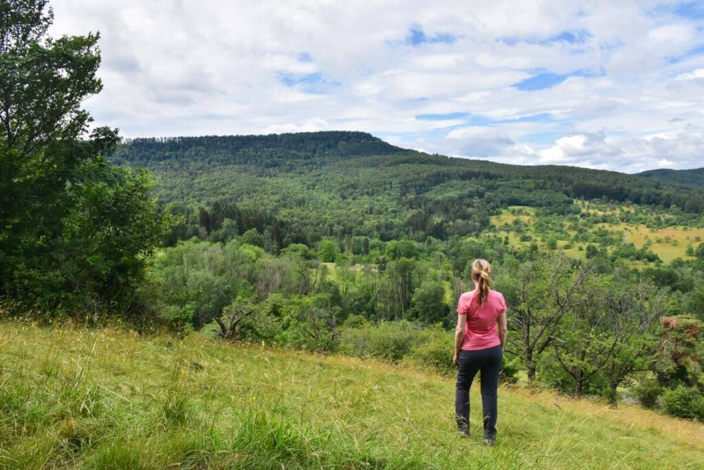 Blick von der Olgahöhe Mössingen zum Dreifürstenstein