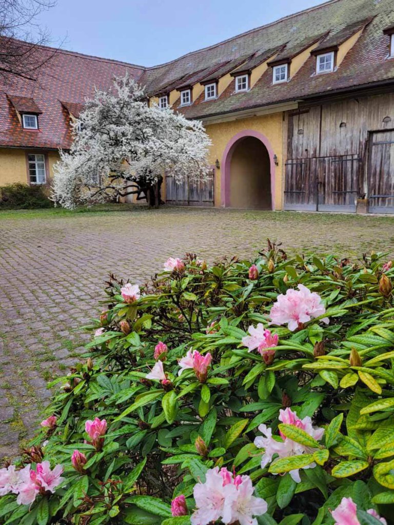 Historisches Ambiente: Schloss Bauschlott