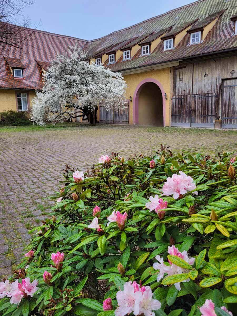 Schöne Cafés in der Nähe Unsere liebsten Cafés zum Frühstücken & für Kaffee und Kuchen