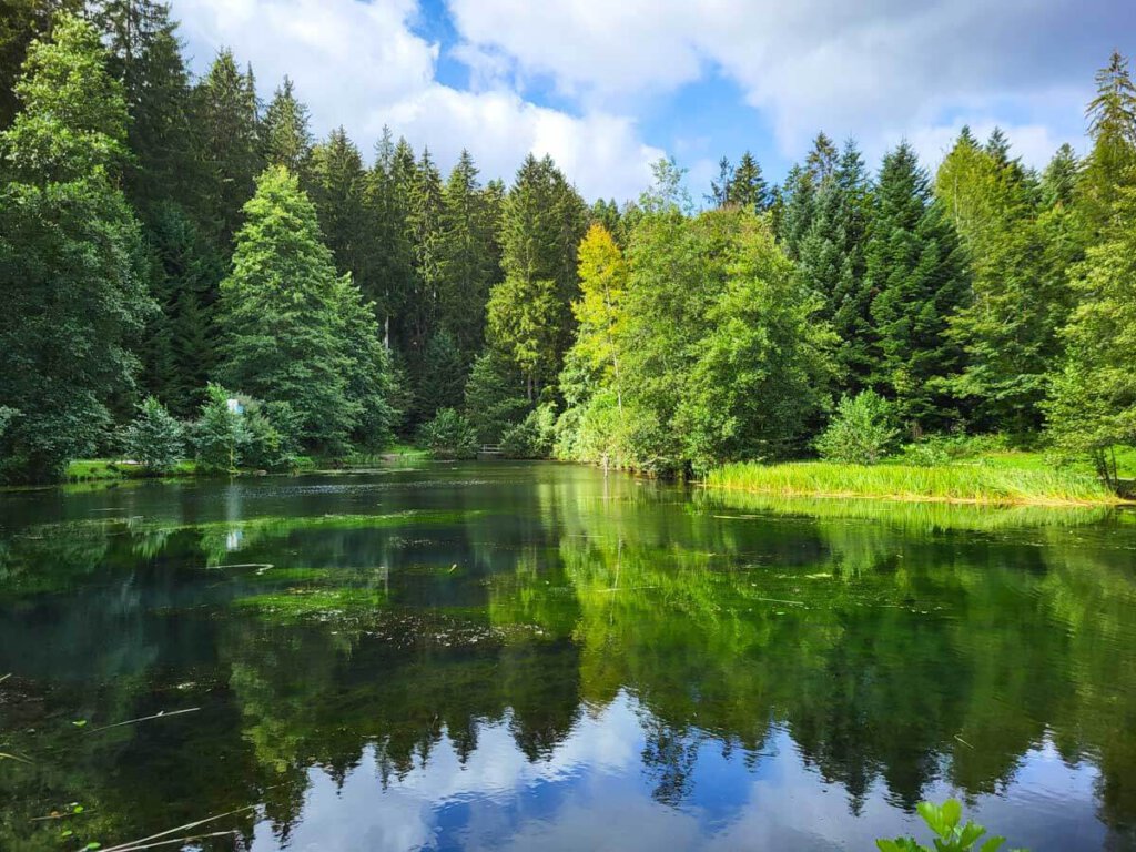 Spiegelung am Kinzigsee im Zauberland Loßburg