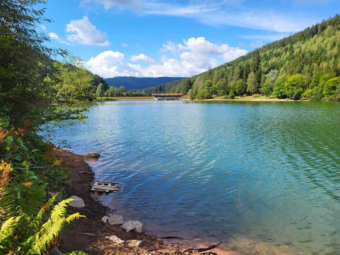 Schwarzwald Dorfurlaub an der Nagoldtalsperre in Seewald-Erzgrube