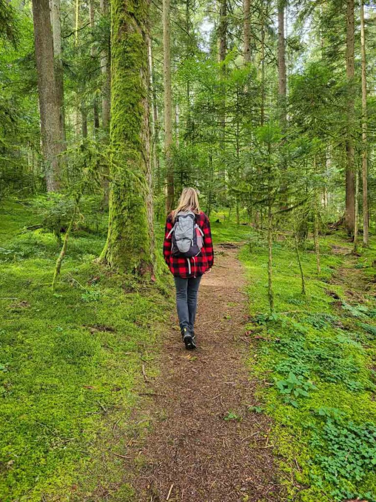 Schwarzwald Wanderung durch einen Märchenwald bei Loßburg