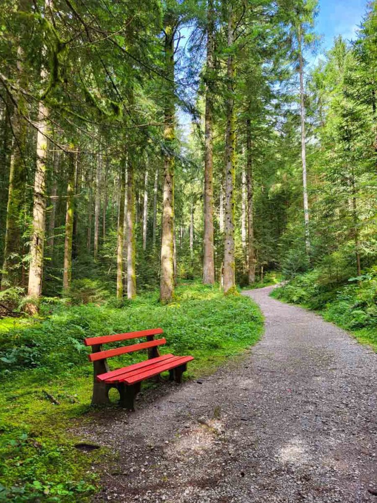 Klassische Schwarzwald-Idylle im Zauberland Loßburg